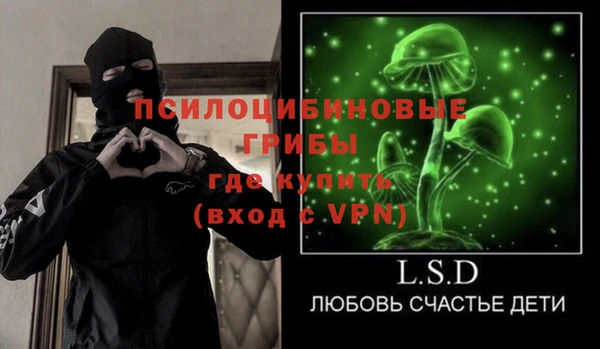 индика Алзамай