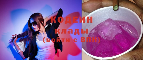 индика Алзамай