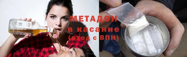 индика Алзамай