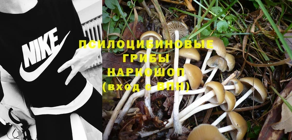 прущие грибы Алексеевка