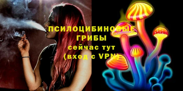 индика Алзамай