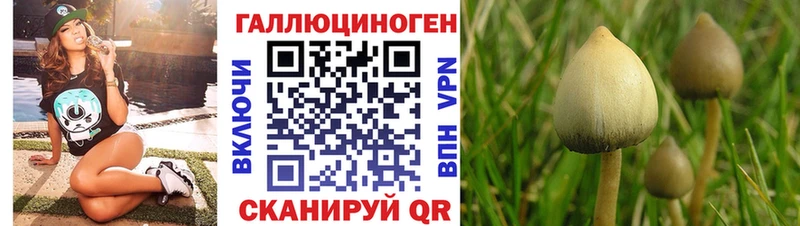 blacksprut ссылка  закладка  Брянск  Псилоцибиновые грибы ЛСД 